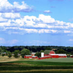 High-Quality Dermatology Care in Rural Michigan Dr Dupati Apollo Dermatology